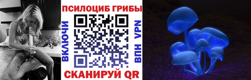 OMG ТОР  Высоцк  Галлюциногенные грибы прущие грибы  что такое наркотик 